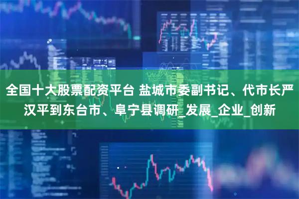 全国十大股票配资平台 盐城市委副书记、代市长严汉平到东台市、阜宁县调研_发展_企业_创新